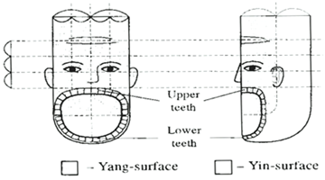 sujok therapy for toothache relief